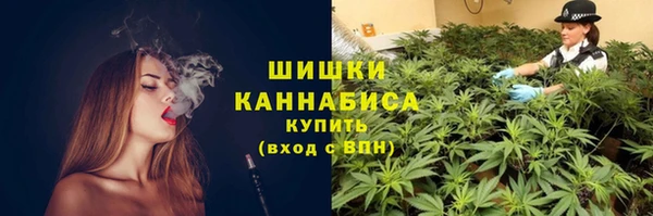 молекула духа Беломорск