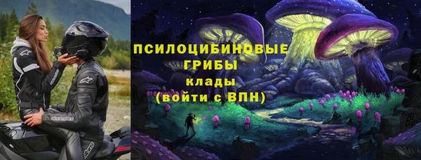 прущая мука Белокуриха