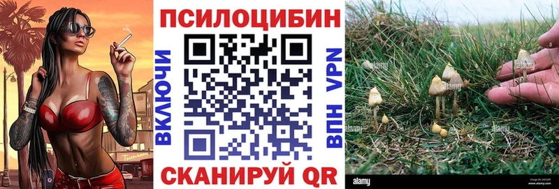 Псилоцибиновые грибы MAGIC MUSHROOMS  сайты даркнета формула  Буйнакск  где продают наркотики 